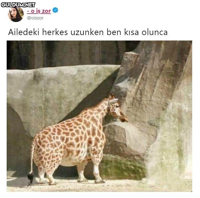 Ailedeki herkes uzunken...