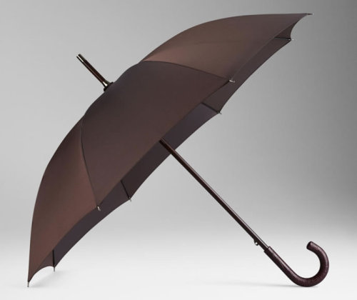 Burberry Walking Umbrella With Alligator Leather Handle… Price Tag: $1,495 -Everydayisfashion