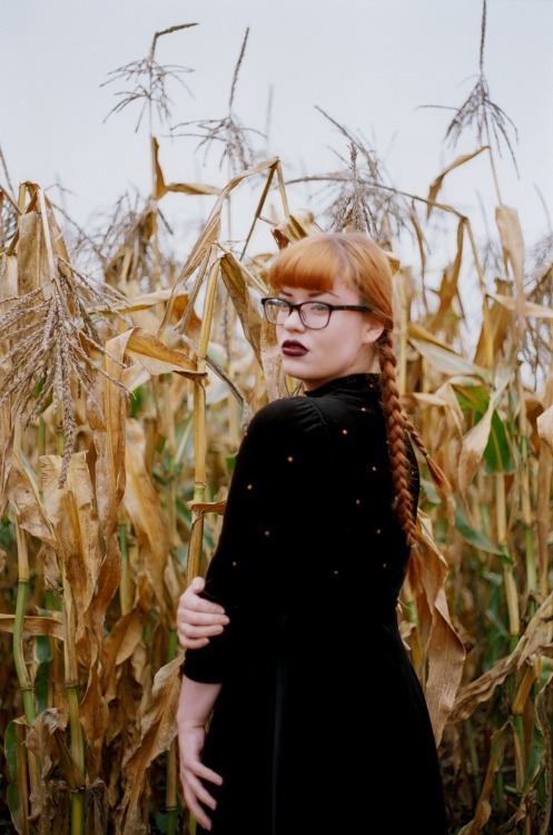 sierramckenzie: <3 halloween pumpkin patch masterpost. me by dylan staley