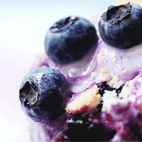 foodsexyfood:  Blueberry Muffin Ice Cream 