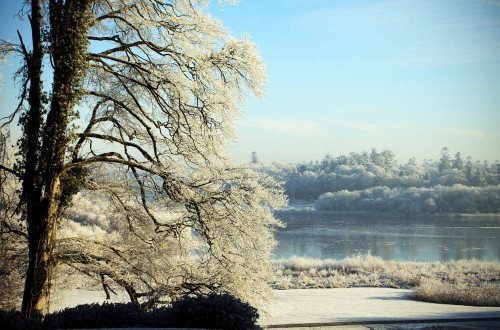 putdownthepotato:  Dromoland Estate, Co. Clare, Ireland by Oona Tully