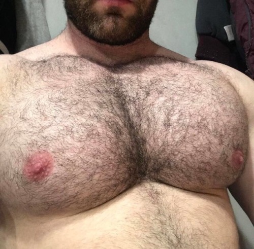 furryhotbears: