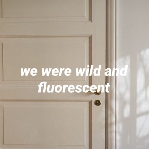 lkikues:supercut // lorde