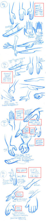 drawingden:Stylized Hands model sheets by tombancroft