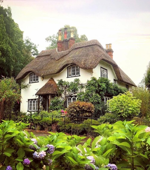 Beehive Cottage, Swan Green near Lyndhurst in the New Forest, Hampshire, UK | @lensereflection 