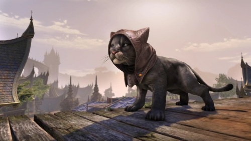 uesp: Pictured: Ja'khajiit Raz, Ja'khajiit Khamira, Razum-dar, and Khamira.