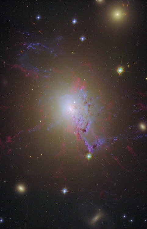 thedemon-hauntedworld: Hubble Remix: Active Galaxy NGC 1275 Active galaxy NGC 1275 is the central, d