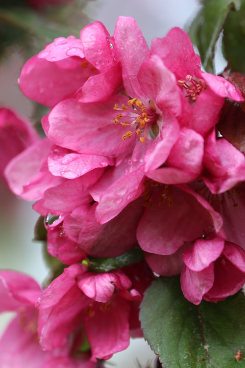 Värmland, Sweden (May 19, 2019).