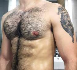 Gay Hairy Lover