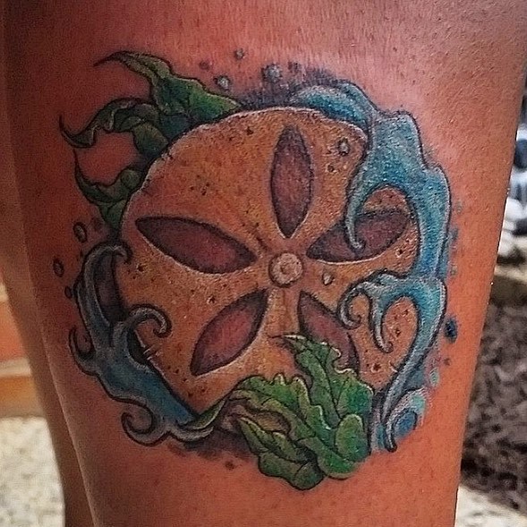 Savannah Leigh Tattoos  Sand dollar  Facebook