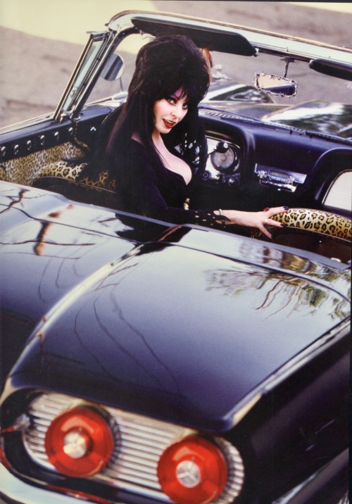 monstermelodies: Elvira Mistress of the Dark’s Macabre Mobile