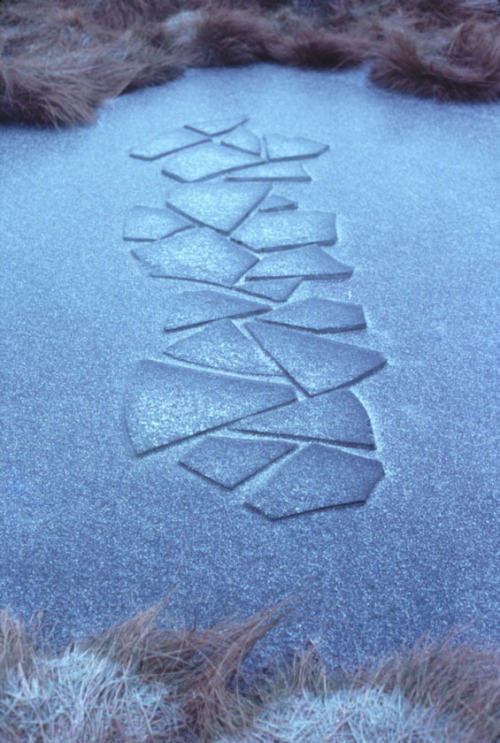 conflictingheart:Andy Goldsworthy,meditative ice sculpturesAn artist who makes “earthworks”, he coll