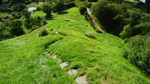 eowyntheavenger:Return to the Shire