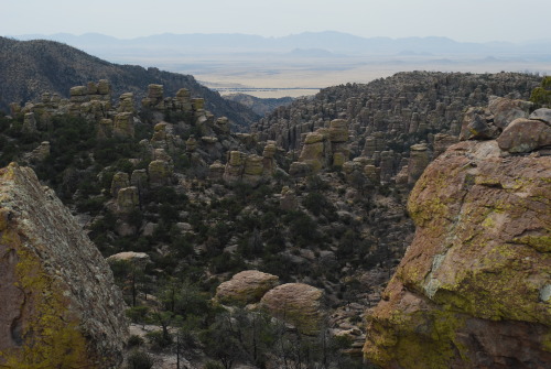 Chiricahua National Monument