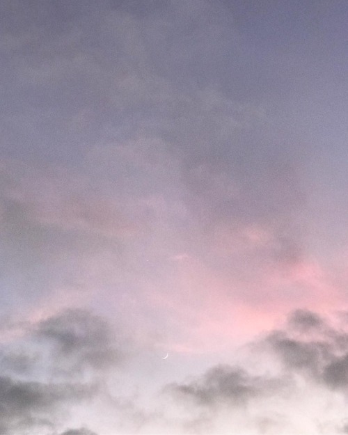 andantegrazioso:Cotton candy sky |  kurtboomerphoto  