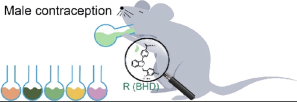 https://pubs.acs.org/doi/10.1021/acsomega.3c01840