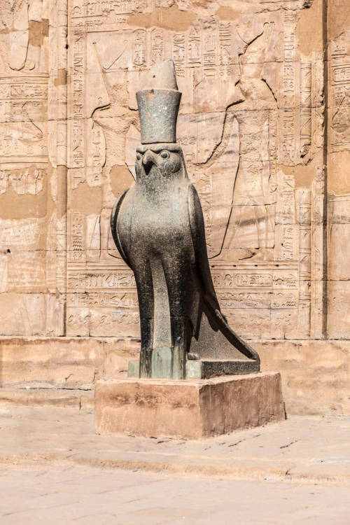 egypt-museum: Statue of the god HorusThe granite statue of the falcon-headed god Horus at the ancien