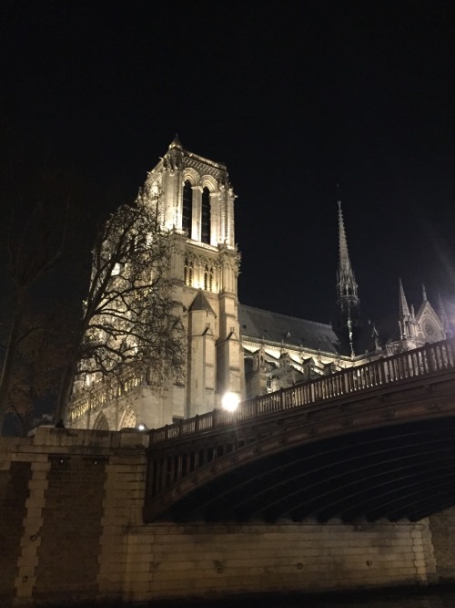 Cathedral Notre Dame, Paris 2016