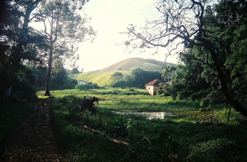 arquerio:untitled by Anonymous000 on Flickr.