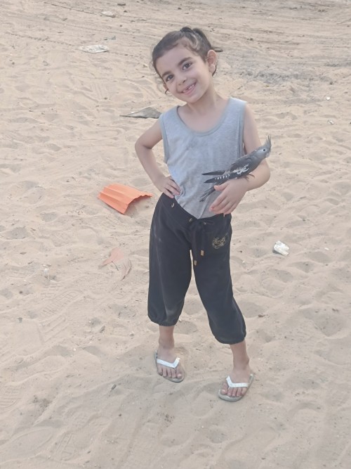 A Cry For Help Form Gaza