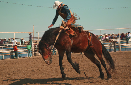 Crow Fair 2015.