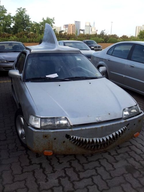 One chopped and bitten ride