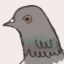 sublimepigeonmusic