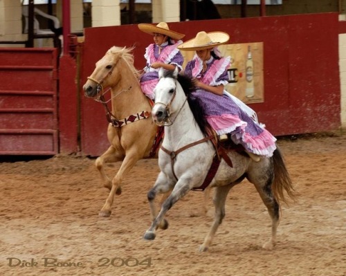 sartorialadventure:Some kickass Mexicanas participating in una charreada (click to enlarge)The charr