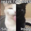 fuckf00dd
