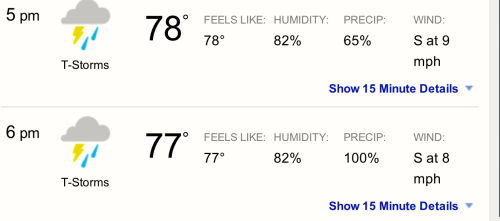 I was going going to play street music today since Sugar Daddy stood me up yesterday and ruined all my chances of making money but there’s a hundred percent chance of rain. It takes an hour to get to Ybor by bus and the last bus I can take back