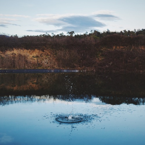 danielodowd:  @ioehowells