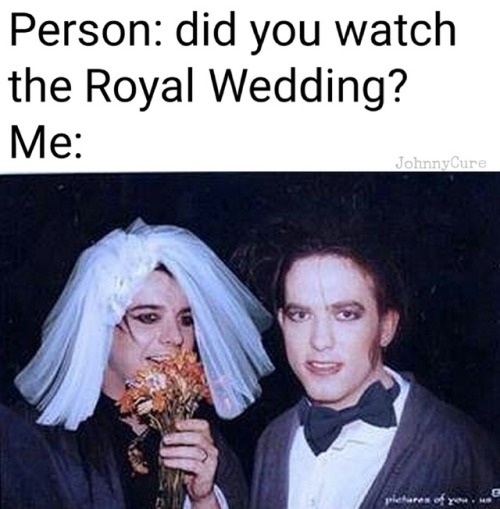 johnnycure - The only royal wedding I care about is between these...
