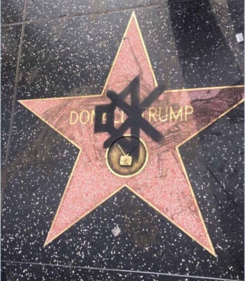 weavemama:SOMEOME SPRAY PAINTED THE MUTE SIGN ON DONALD TRUMPS STAR LMAO