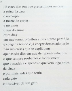 Se você ficar sozinho, pega a solidão e dança.