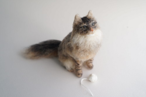 A Needle Fetled Cat Based On Pet Photos.