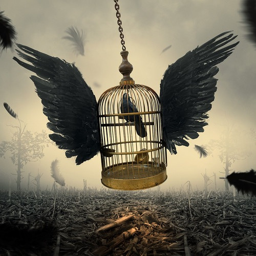 shelbybrooke55:  The way to the freedom on We Heart Ithttp://weheartit.com/entry/110279216/via/canito_polar