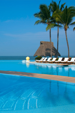 classy-captain:   Grand Velas Nayarit Pool by Grand Velasedited by classy-captain 