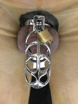 rubberboy-sheeman:  jacketbound:  Padlocked Neto transparent catsuit. Then a full pvc sewer suit. Pvc lined. Hooded. Socks attached. Muzzle locked on. Chastity locked on. Chains locked to muzzle. Only key to open them inside a kitchen safe. 50 mins set.