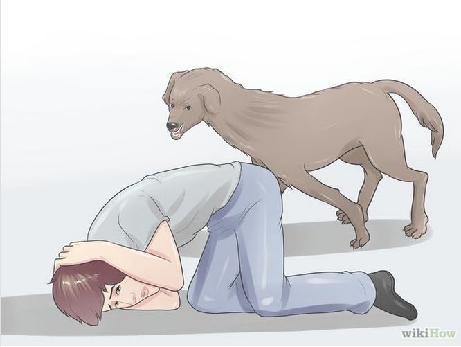 The signs as wiki-how illustrations.