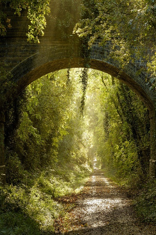ponderation:  Kenilworth Greenway by Russ Barnes  