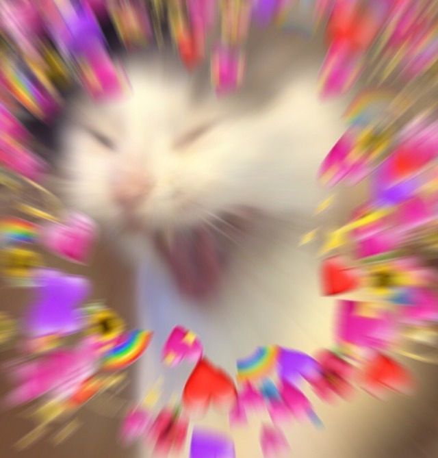 Love Screaming Crying Cat Meme Hearts Menestreistear Love Screaming Crying Cat Meme Hearts Menestreistear