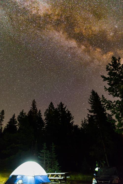 Found a nice little corner of heaven in the elevated woods of central Oregon. [3648x5472]