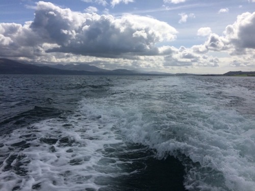 dunspirational:“Smooth seas don’t make good sailors”