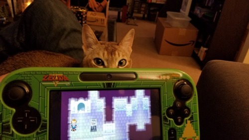 thatottergamer: He’s watching and waiting…