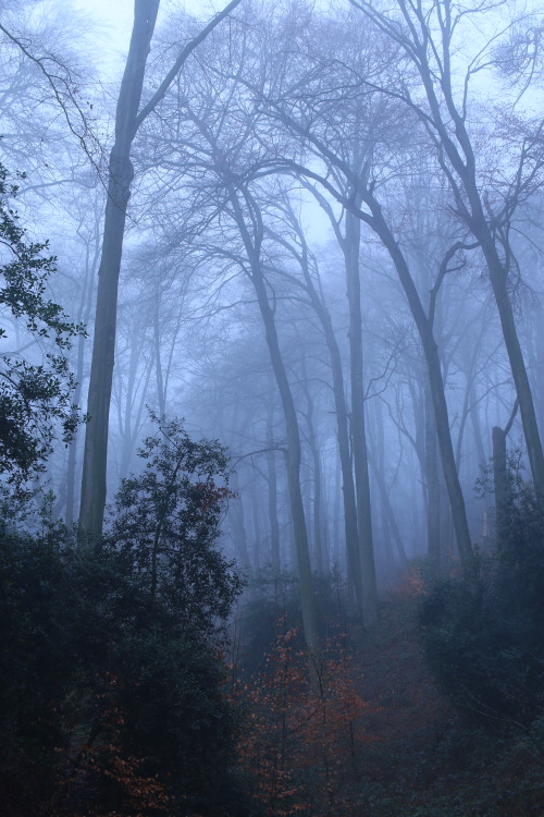 XXX 90377: Foggy memories of January by @90377 photo