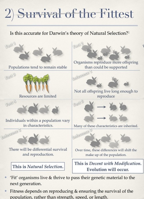 molecularlifesciences: Top 5 misconceptions about evolution: A guide to demystify the foundation of 