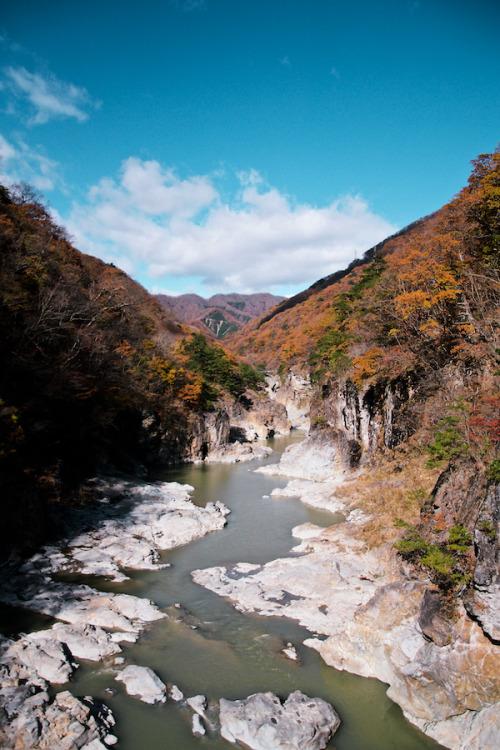 gon-iii