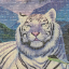 istauri484