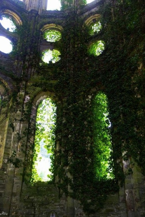 Abbey of Villers-la-Ville. Belgium.