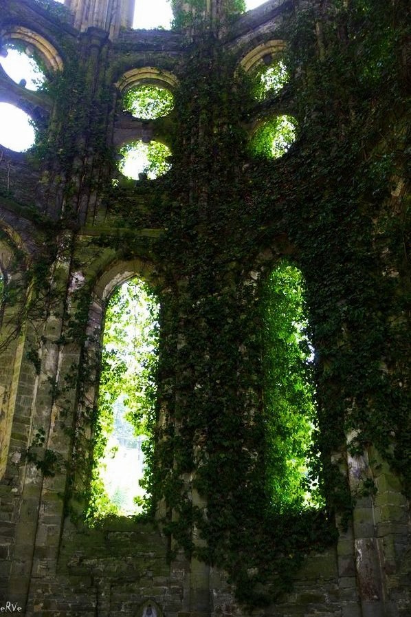 lotrscenery:  Doriath - Abbey of Villers-la-Ville, Belgium 